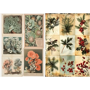 Detailed grid of vintage botanical illustrations with fungi, pine, and coral elements