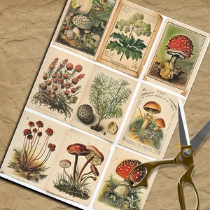 Detailed close-up of vintage mushroom and botanical scrapbooking paper with retro scissors