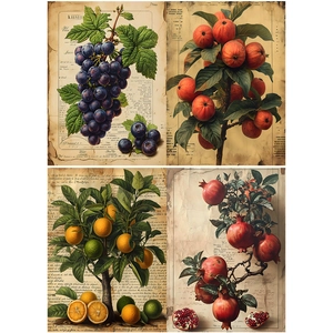Detailed macro of vintage fruit botanical illustrations with antique paper texture finish