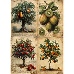 Detail view of vintage botanical paper showing aged texture and fruit tree illustrations