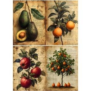 Macro view of vintage botanical fruit prints featuring avocado, orange, apple and pear