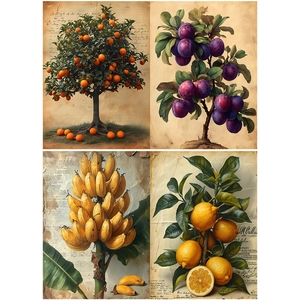 Macro view of vintage botanical paper showing orange and lemon tree illustrations