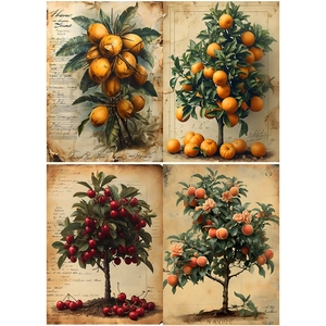 Macro view of vintage botanical fruit tree paper set with scientific sketches and labels