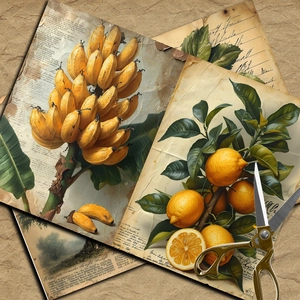 Close-up of vintage botanical scrapbook paper with lemon and banana illustrations