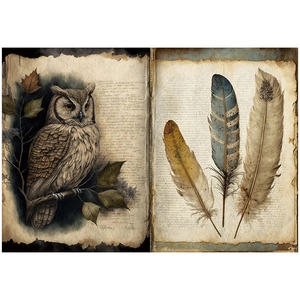 Detailed view of vintage scrapbook paper featuring owl and bird feathers illustrations