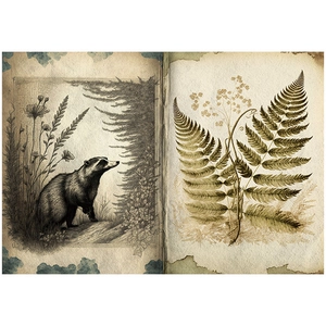Macro detail of vintage lithograph scrapbooking paper featuring a badger and fern illustration