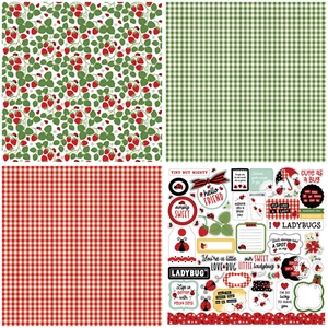 Vintage ladybug and strawberry scrapbook paper pack with gingham patterns and stickers