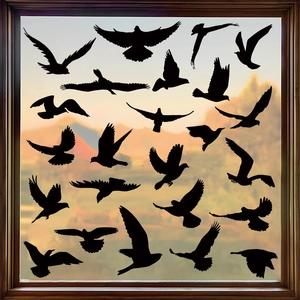 Détail de stickers oiseaux colibris et silhouettes noires sur vitre d'une fenêtre