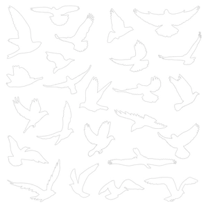 Stickers électrostatiques colibri pour vitres avec diverses silhouettes d'oiseaux