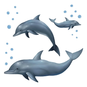 Waterproof PVC wall stickers featuring blue dolphins and bubbles for bathroom decoration