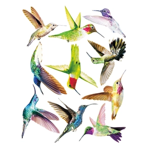 Lot de neuf stickers muraux colibris en PVC colorés pour décoration de fenêtres et vitres