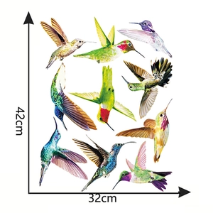 Dimensions détaillées des stickers colibris colorés en PVC affichant le format 42x32cm