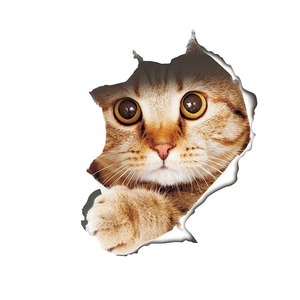 3D cracked wall decal featuring a realistic orange tabby cat peeking through a hole