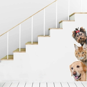 3D Realistic Cat Dog Wall Sticker Waterproof PVC Decal Creative Animal Corner Decor For Living Room Bedroom Furniture Stickers