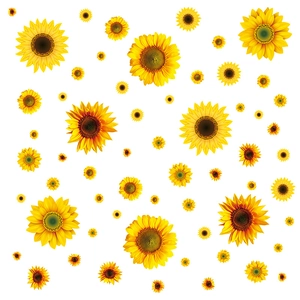 Vibrant sunflower window decals in various sizes with realistic yellow petal details
