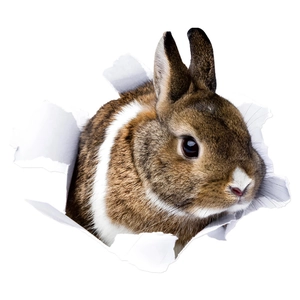 3D realistic broken wall sticker featuring a cute brown and white bunny peering out