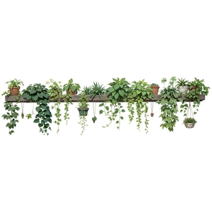 Green potted plants wall stickers on a wooden shelf for fresh minimalist home decoration