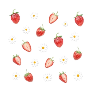 Bohemian strawberry and daisy wall stickers featuring fresh floral patterns on white background