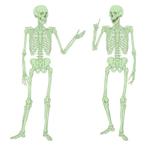 Luminous Halloween skeleton wall stickers made of PVC for spooky window decorations