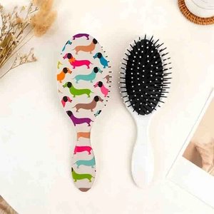 Détail de brosse ovale avec motif teckel coloré et coussin d'air blanc