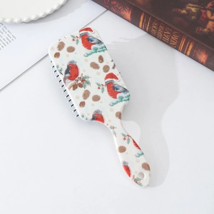 Detail of printed air cushion hairbrush with festive winter bird and pine cone patterns
