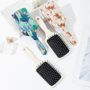Ensemble de brosses à cheveux à coussin d'air style Western avec motifs cactus