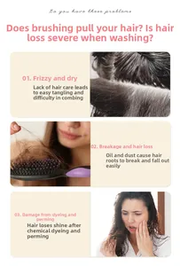 Detail showing hair solutions for frizz, hair loss, and damage on a vent brush info graphic