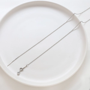 Dettaglio di una catena regolabile in argento con chiusura a molla su piatto bianco