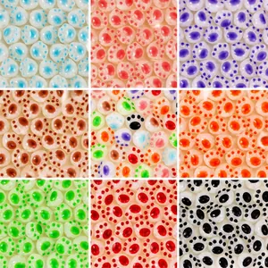 Macro display of colorful acrylic cat paw beads showing different color options for DIY jewelry