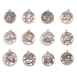 Detail van twaalf dierenriemhangers van zilverlegering voor DIY-sieraden en armbanden