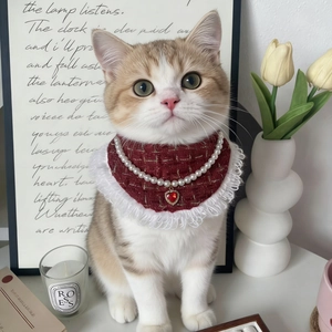 Elegante Collare per Animali per Gatti Cani Sciarpa in Tweed Rosso Con Collana di Künstliche Perle Bordo in Pizzo Ciondolo a Cuore Bavaglino