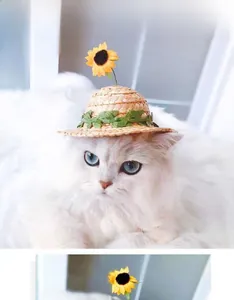 Cute white cat wearing a woven straw hat with a yellow sunflower and green leaves