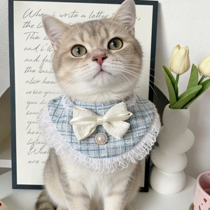 Collier en tweed bleu pour chat avec dentelle, perle et chaîne dorée ajustable