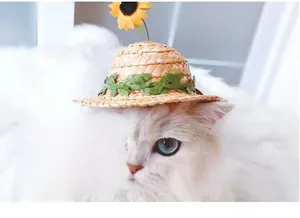 Close-up of lightweight pet straw hat with sunflower and green leaves on a white cat