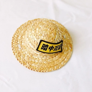 Natural woven straw pet hat featuring Anzhong Guancha text label for cats and dogs