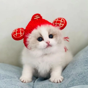 Cappello rosso in maglia per gatti fatto a mano con design tigre per gattini