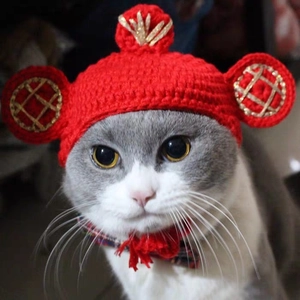 Dettaglio cappello per gatti rosso fatto a mano con ricami dorati e nappe festive