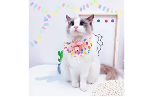 Detail of pet mesh collar featuring colorful polka dots and a central pink bell charm