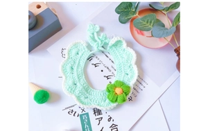 Detail of mint green knitted pet collar with white scalloped edge and handmade flower