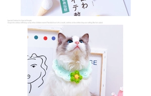 Detail of mint green crochet pet collar with yellow flower on a ragdoll cat