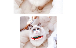 Handcrafted knitted pet collar with red, white, and green wavy pattern on a cat