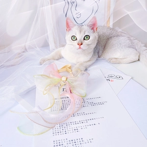 Detail of gradient organza pet collar with gold trim, white pearl, and adjustable buckle