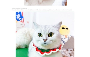Close-up of red and green knitted Christmas pet collar with wave pleats on a white cat