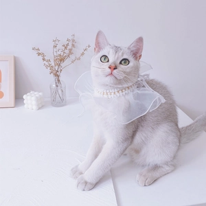 Cute white lace pet collar with pearls and floral chiffon ruffles for cats and small dogs