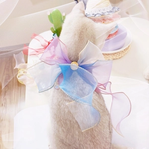 Detail of gradient organza pet bow collar with pearl center and metallic stitching