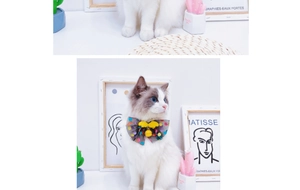 Close-up of pet bow tie collar with yellow bell and mesh wings on a ragdoll cat