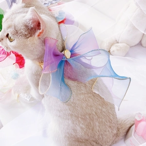 Macro shot of gradient organza pet collar with large bow and gold wire edging