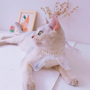 Macro shot of tiered white lace pet collar with faux pearl and gold bead detailing