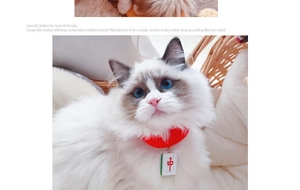 Close-up of a festive red knitted pet collar with a creative Mahjong pendant on a cat