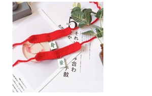 Hand-knitted red pet collar with Chinese Mahjong pendants on a decorative background